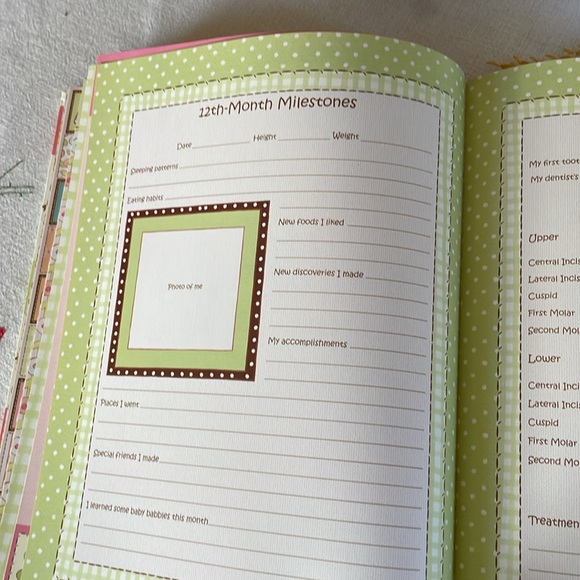 ABC and Me Memory Baby keepsake memory book, baby's first 5 years CR Gibson 2018 - Picture 13 of 15